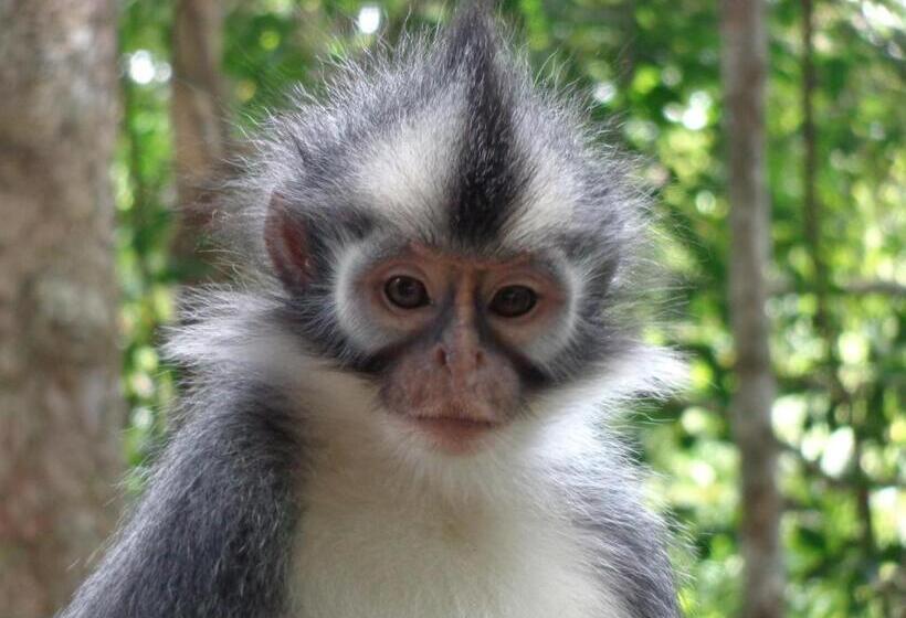 مبيت وإفطار Villa Paradise