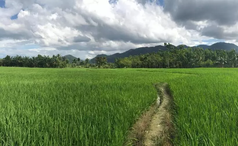 ベッドアンドブレックファースト Villa Paradise   Bukit Lawang