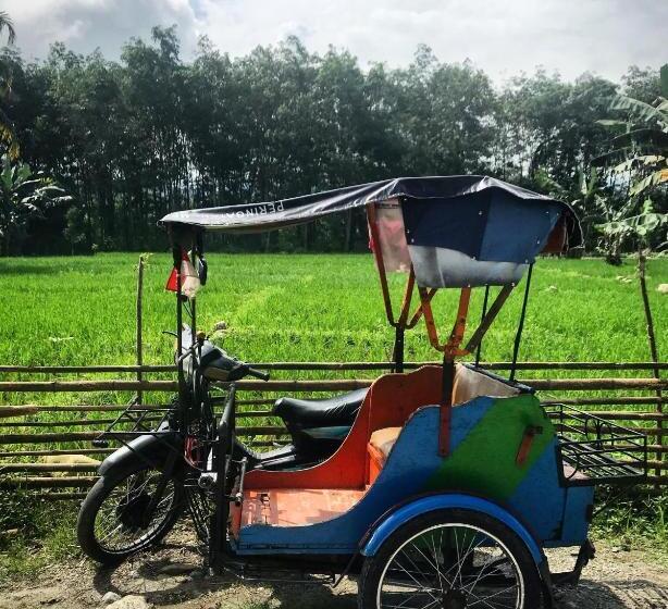 مبيت وإفطار Villa Paradise