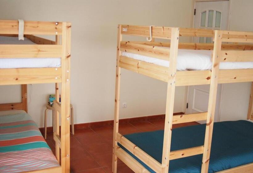 Hakuna Matata Hostel