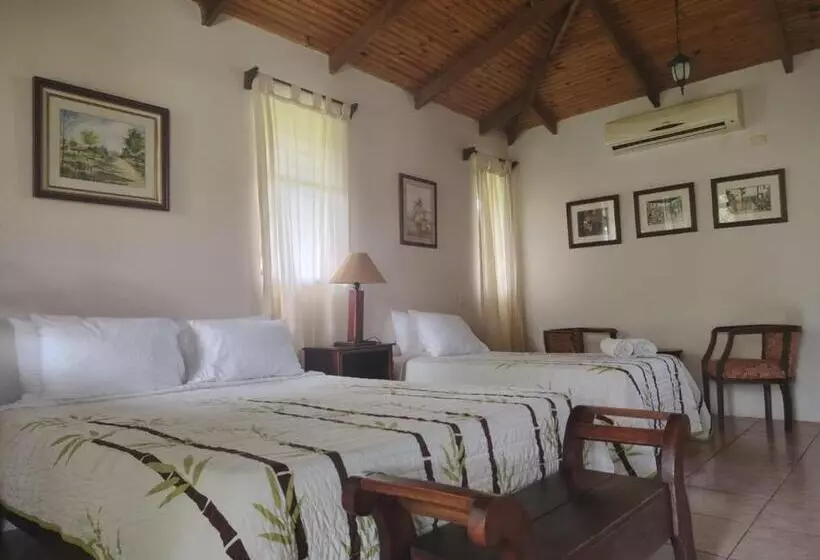 Hotelli Cacao Río Celeste