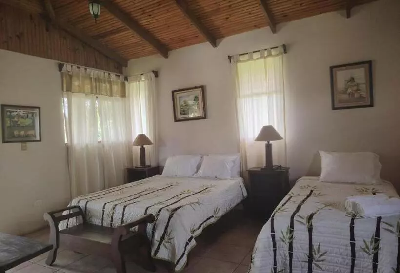 Hotelli Cacao Río Celeste