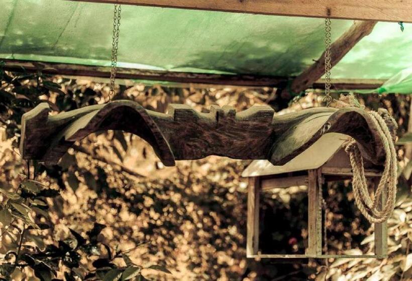 هتل Cacao Río Celeste