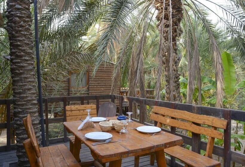 Otel Diar Abou Habibi