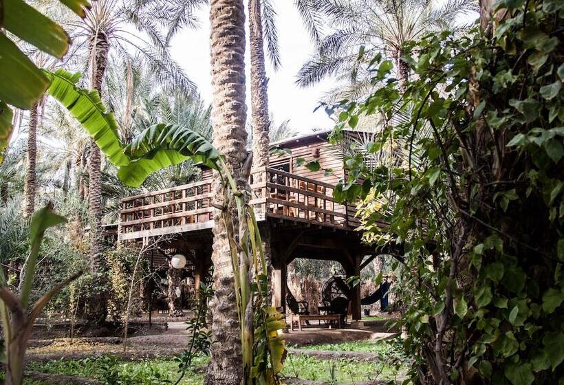 Otel Diar Abou Habibi