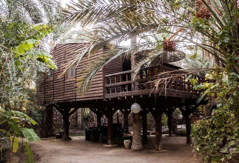 Otel Diar Abou Habibi