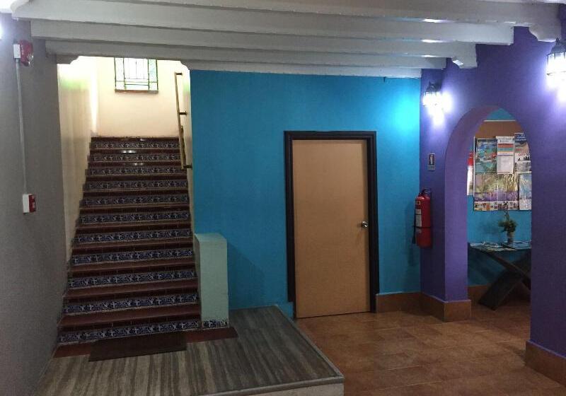 酒店 Hostel The Pod 33