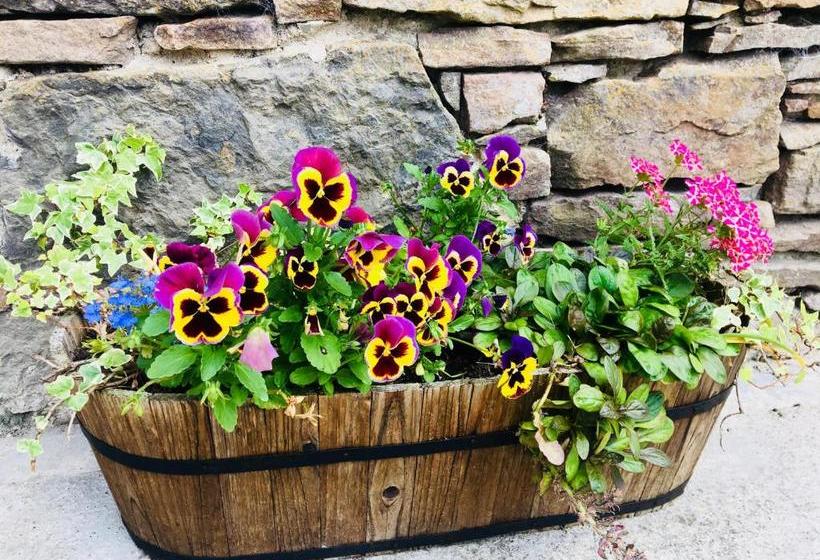 Gask House Farm Cottages