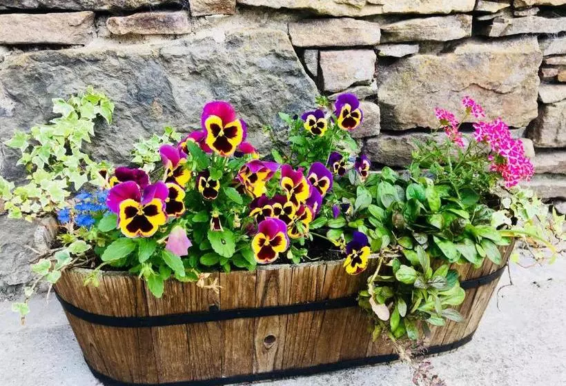 Gask House Farm Cottages