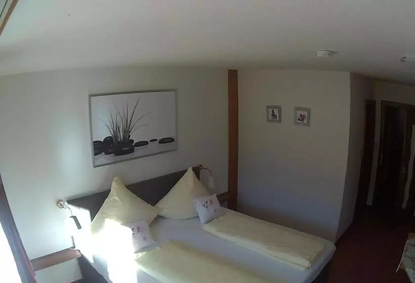 ホテル Pension Alpenblick Schattwald