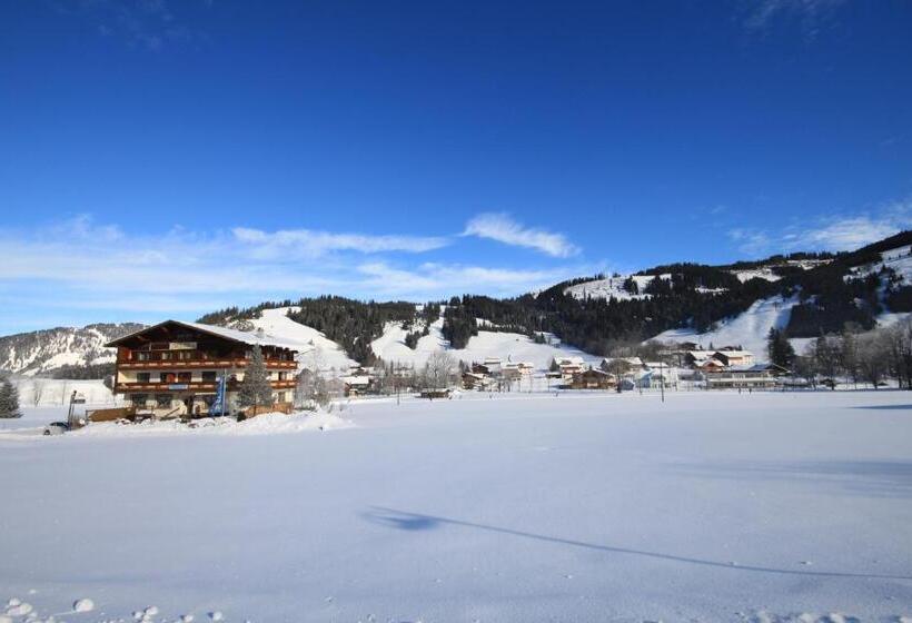 Отель Pension Alpenblick Schattwald