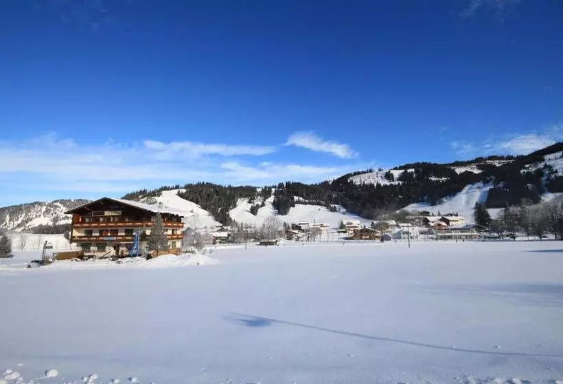 ホテル Pension Alpenblick Schattwald