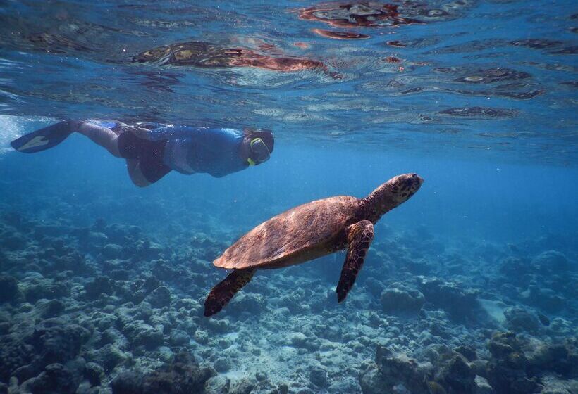 هتل Reethi Faru, Bio Luxury Resort