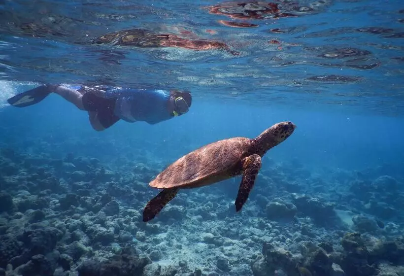 Hotelli Reethi Faru, Bio Luxury Resort