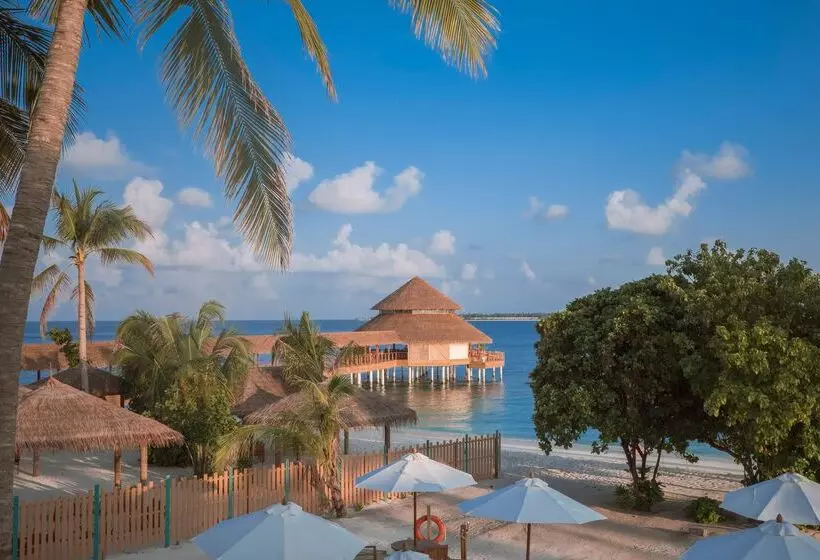Hotelli Reethi Faru, Bio Luxury Resort