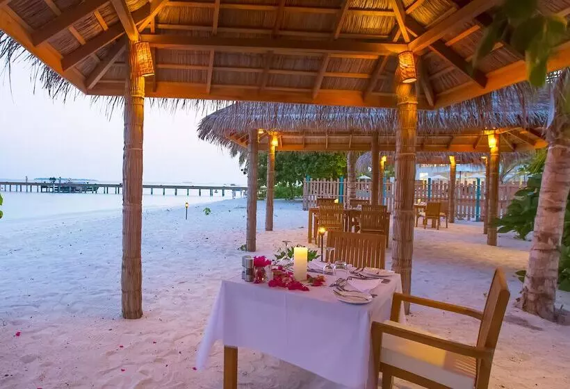 Hotelli Reethi Faru, Bio Luxury Resort