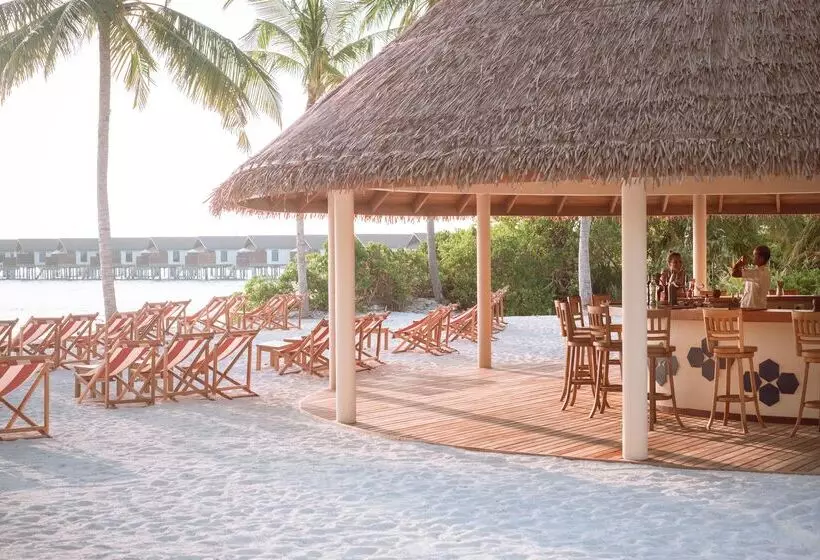 Reethi Faru, Bio Luxury Resort