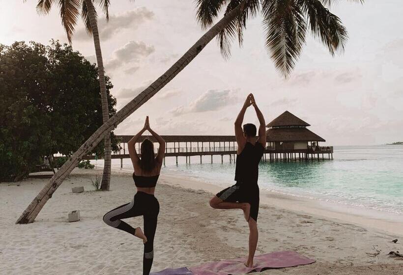 هتل Reethi Faru, Bio Luxury Resort