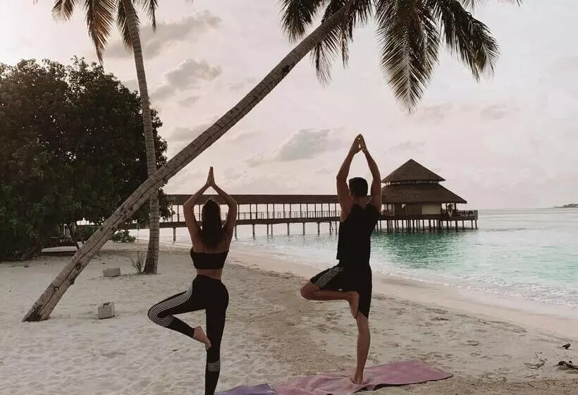 Hotelli Reethi Faru, Bio Luxury Resort