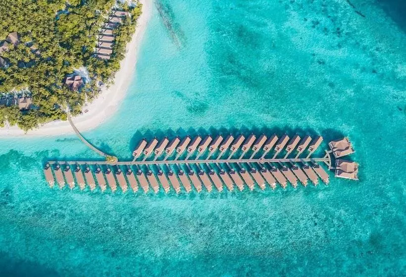 Hotelli Reethi Faru, Bio Luxury Resort