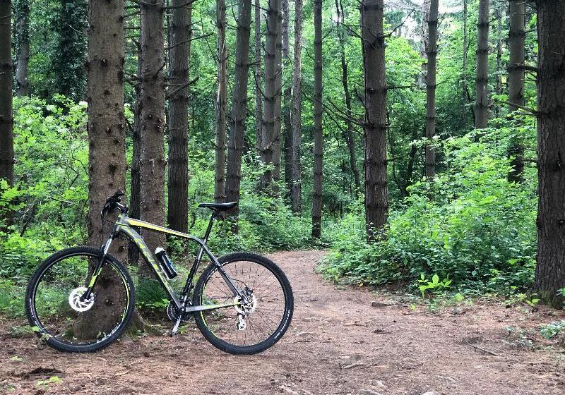 בית מלון כפרי 16 Lakes