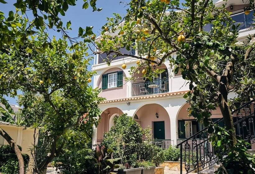 Alamis Hotel & Apartments