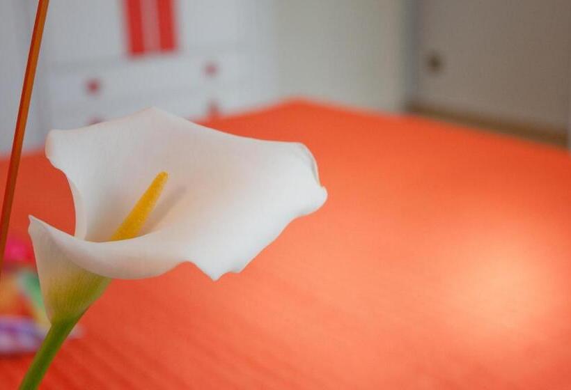 Отель Albergo La Rosetta