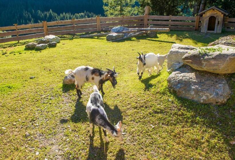 هتل Hammerwirt Forellenhof