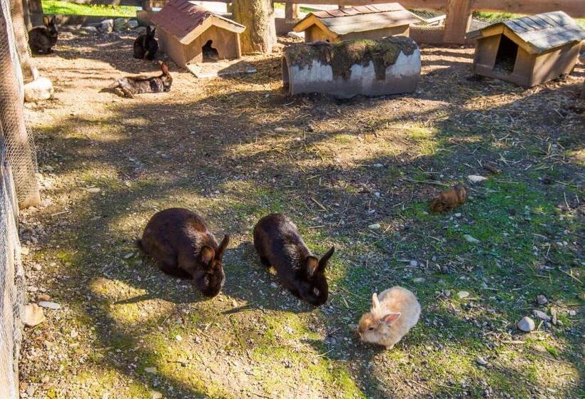 هتل Hammerwirt Forellenhof