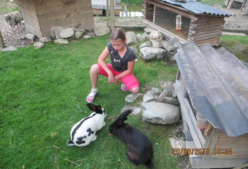 هتل Hammerwirt Forellenhof