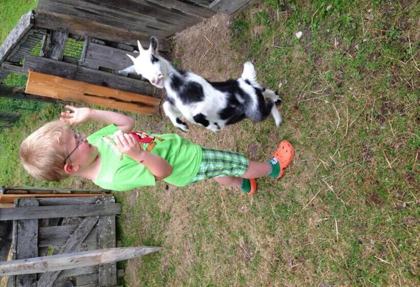 هتل Hammerwirt Forellenhof