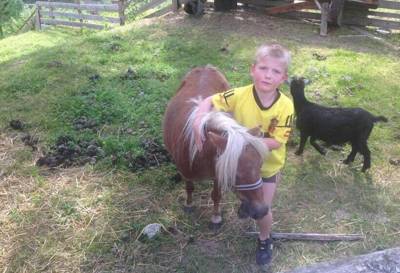 هتل Hammerwirt Forellenhof