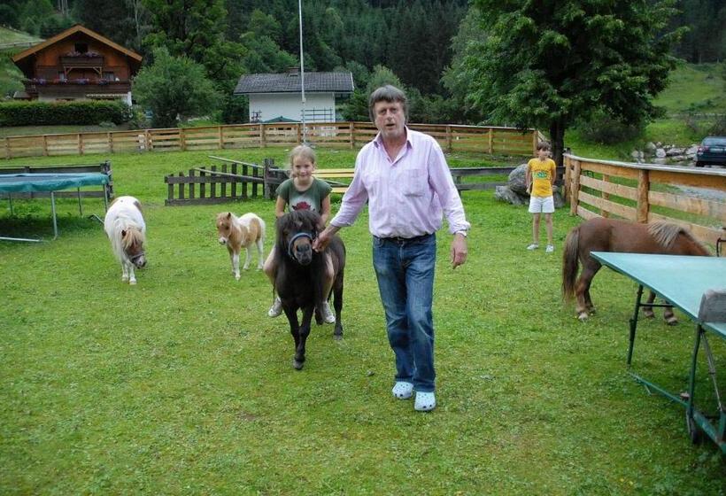 هتل Hammerwirt Forellenhof