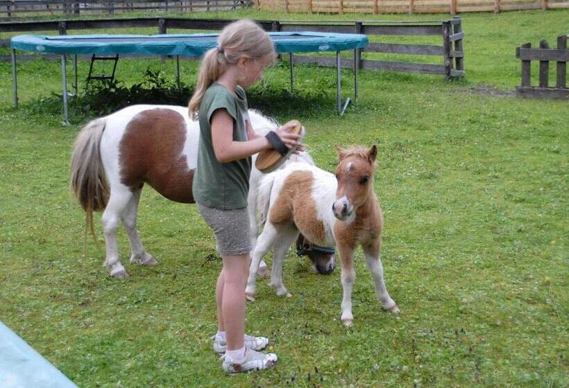 هتل Hammerwirt Forellenhof