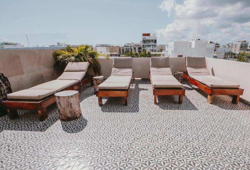 호텔 Kalma Casa Mora