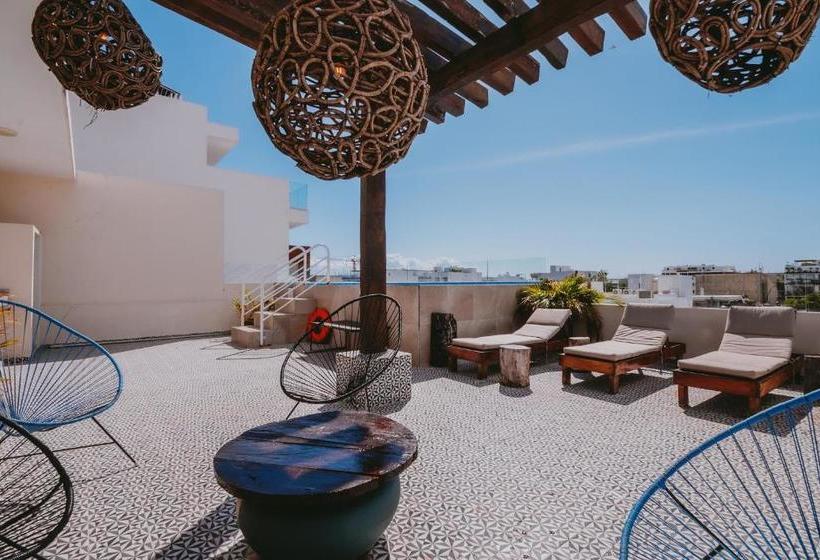 호텔 Kalma Casa Mora