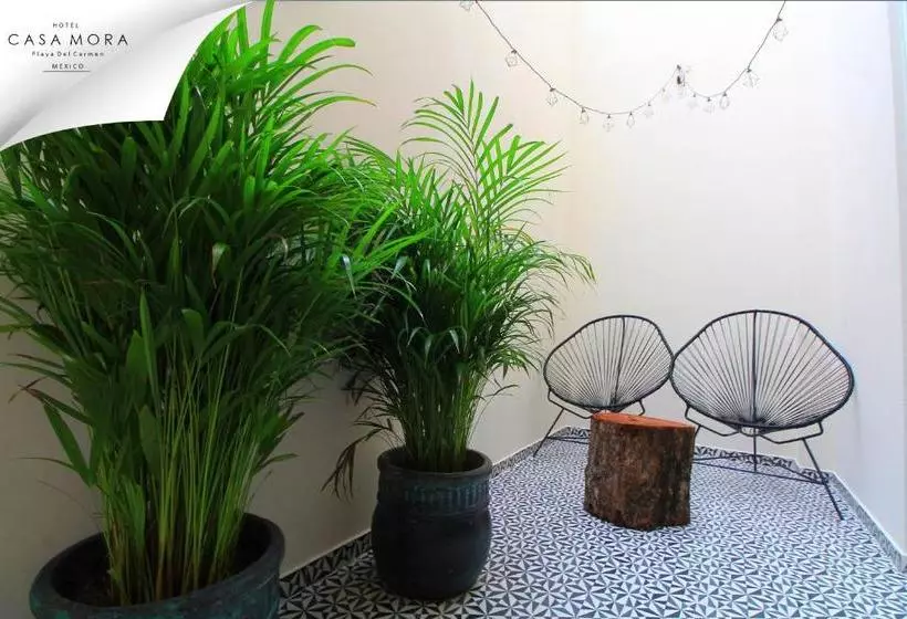 ホテル Kalma Casa Mora