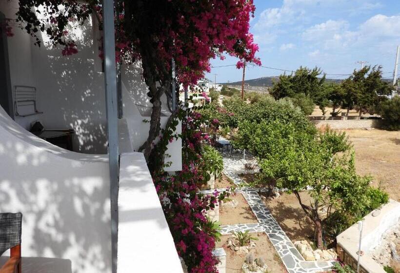 فندق Studios Nina