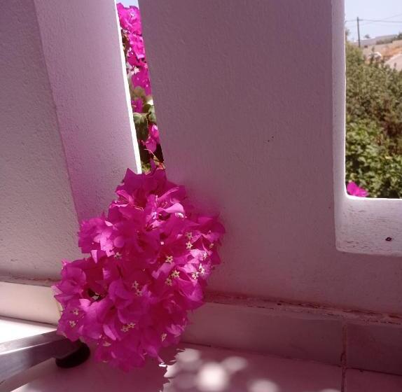 فندق Studios Nina