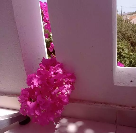 Hotelli Studios Nina