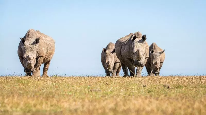 Hotelli Botlierskop The Village Lodge