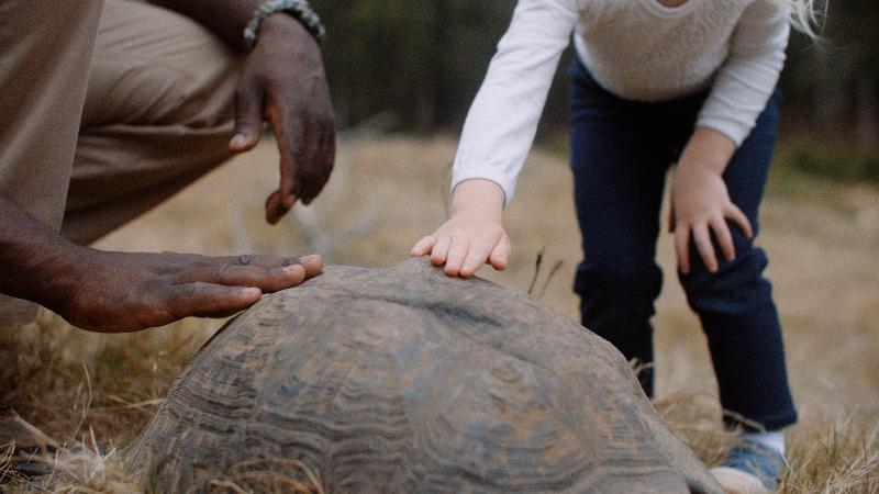 ホテル Botlierskop The Village Lodge