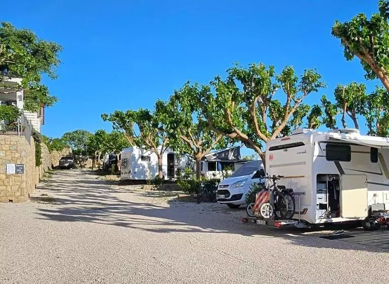 Odmoree Camp & Hostel