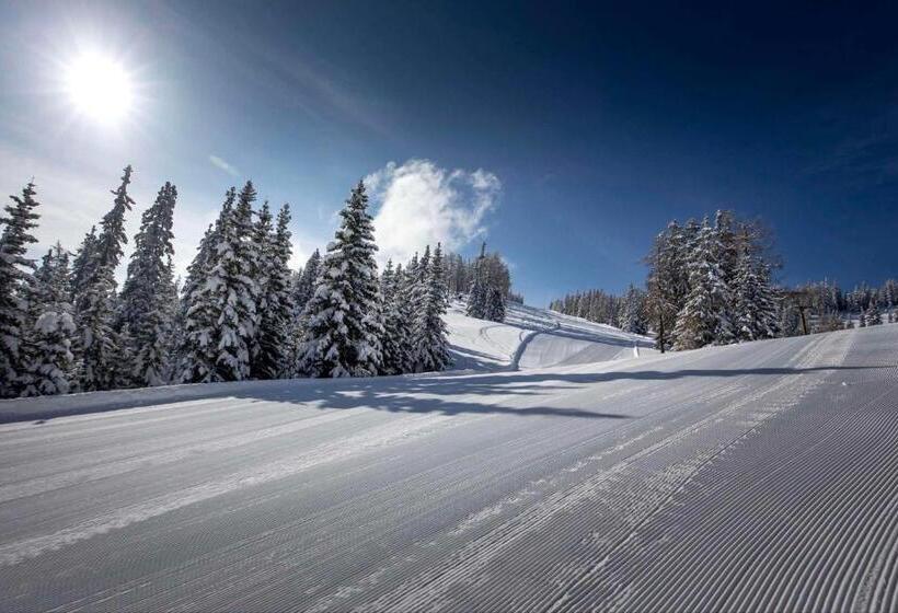 فندق Ledererwirt