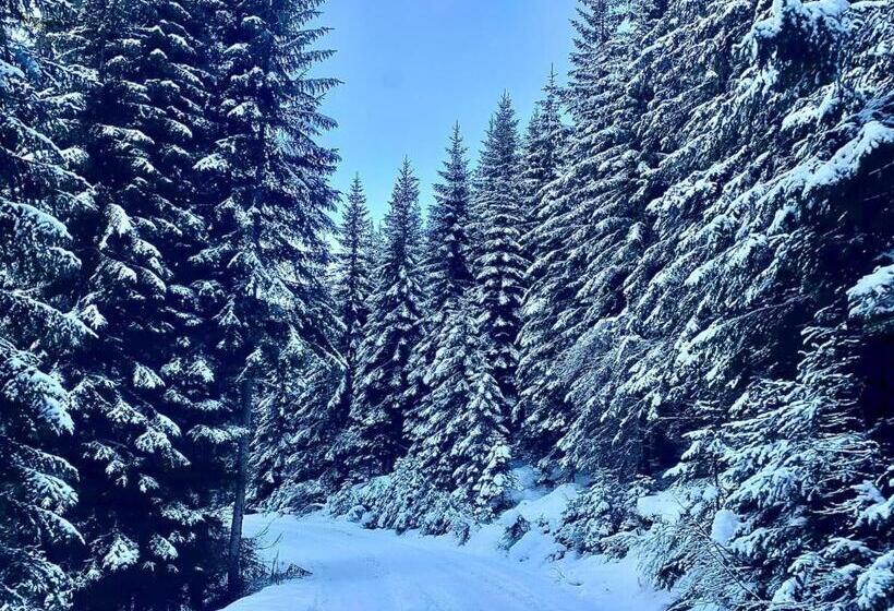 فندق Ledererwirt