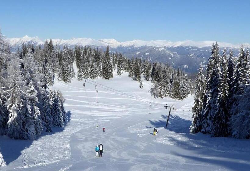 فندق Ledererwirt