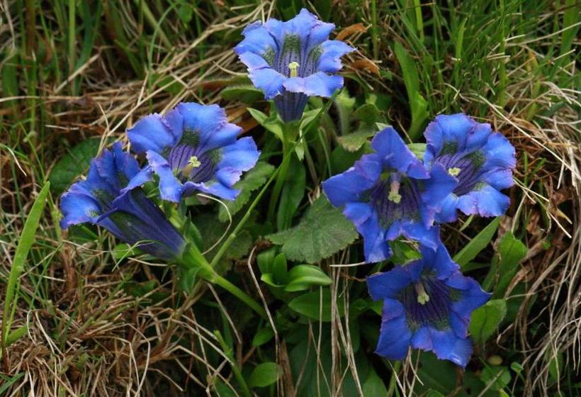 ホテル Landhaus Rainer