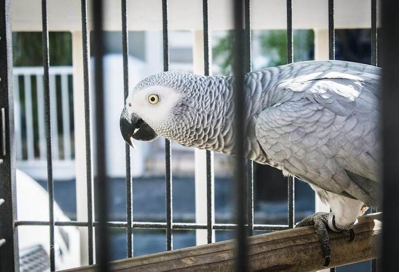 בית מלון כפרי Wilton Manor Solar Energy