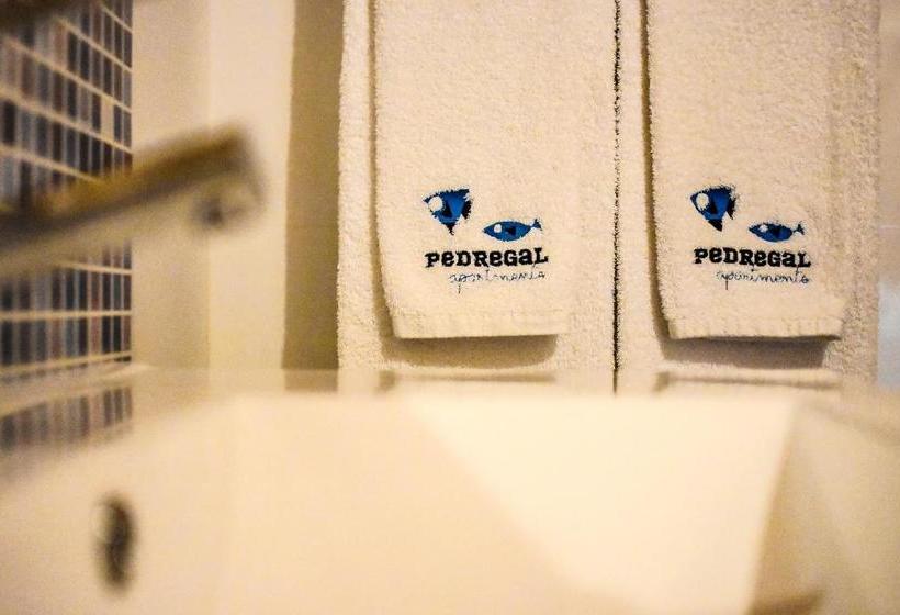 פנסיון Pedregal Apartments