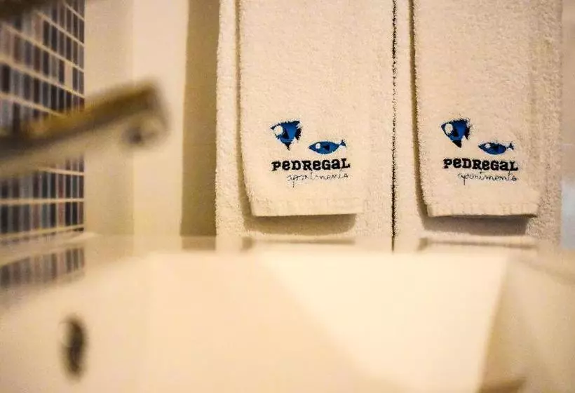 پانسیون Pedregal Apartments